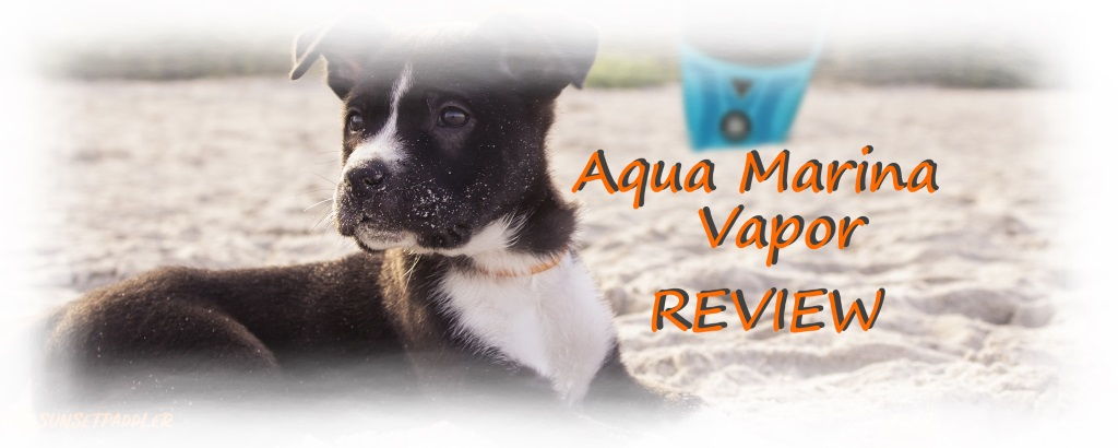 Aqua Marina Vapor Review