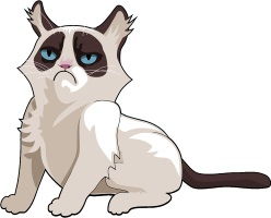 Grumpy Cat Grumpy Cat